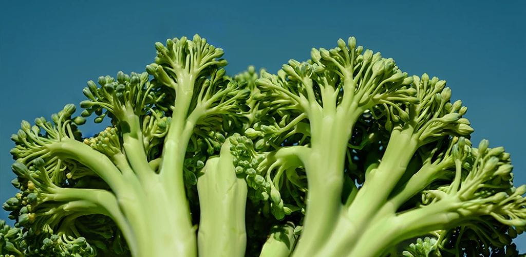Des aliments riches en vitamine B pour lutter contre la fatigue