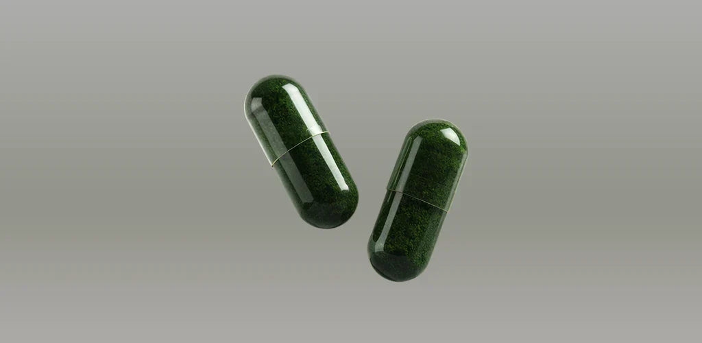 Gélules de moringa posées à côté d’un verre d’eau, illustrant comment prendre la moringa, la dose quotidienne et le format en gélules.