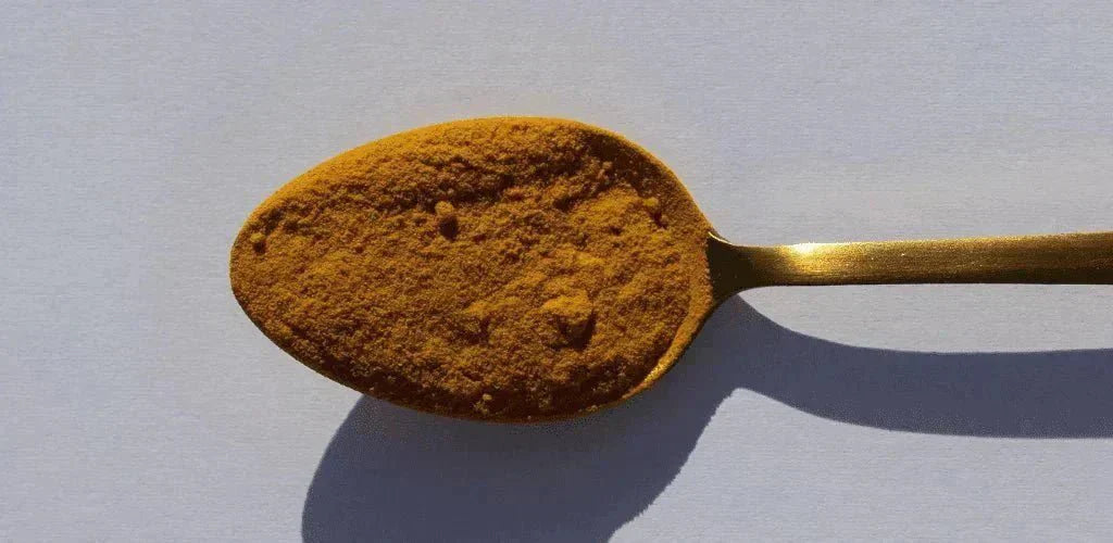 Cuillère de curcuma en poudre pour illustrer ce qu’est le curcuma et à quoi il sert