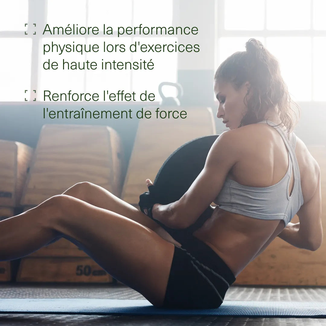 Bienfaits de Créatine monohydrate Aldous pour la routine bien-être