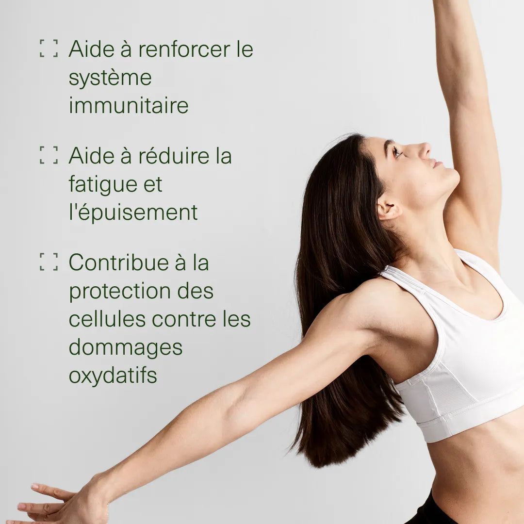 Pack Défenses