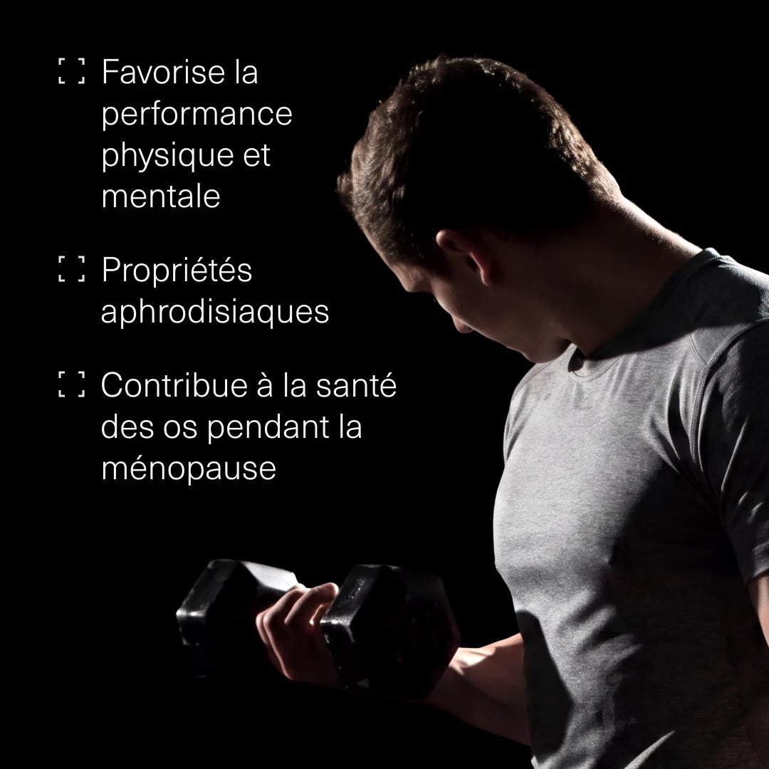 Bienfaits de la Maca Noire avec L-Arginine, Zinc et Vitamines – Aldous