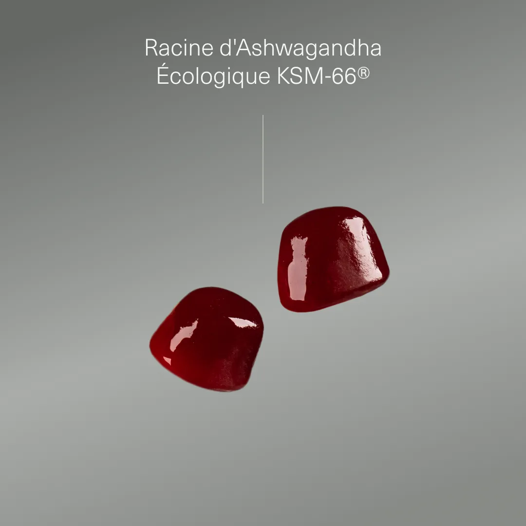 Actifs et formule de Ashwagandha en gummies Aldous