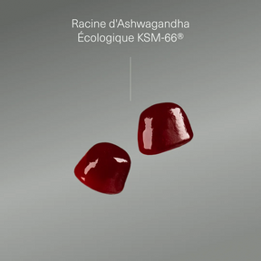Actifs et formule de Ashwagandha en gummies Aldous