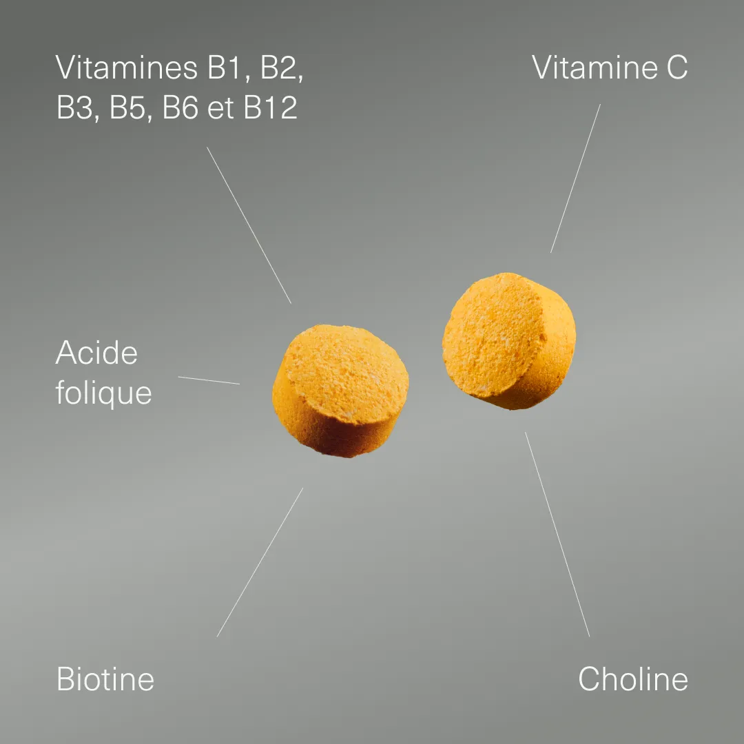 Actifs et formule de Complexe Vitamines B et C Aldous