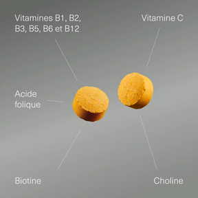 Actifs et formule de Complexe Vitamines B et C Aldous