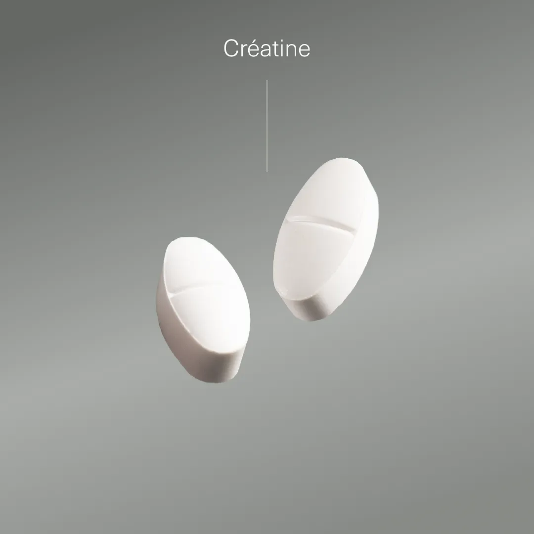Actifs et formule de Créatine monohydrate Aldous