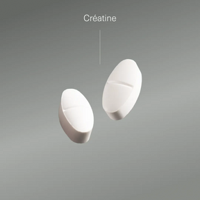 Actifs et formule de Créatine monohydrate Aldous