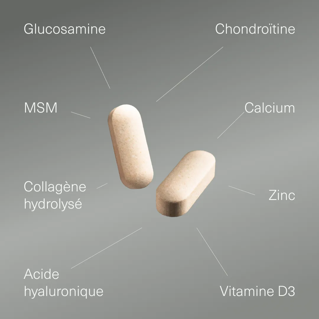 Actifs et formule de Glucosamine Chondroïtine MSM Aldous