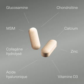 Actifs et formule de Glucosamine Chondroïtine MSM Aldous