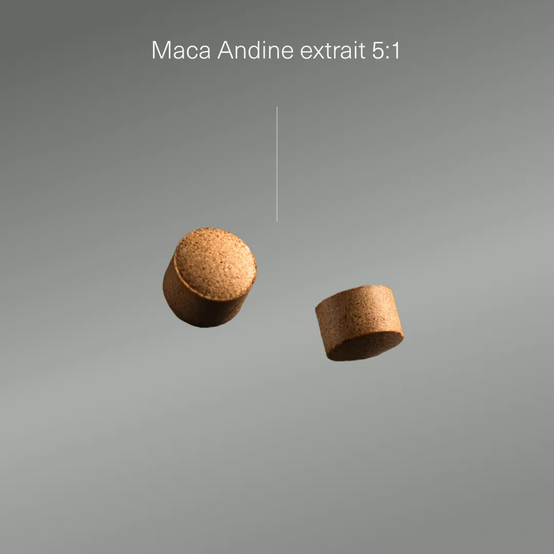 Actifs et formule de Maca du Pérou bio Aldous