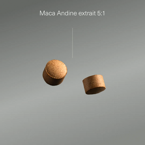 Actifs et formule de Maca du Pérou bio Aldous
