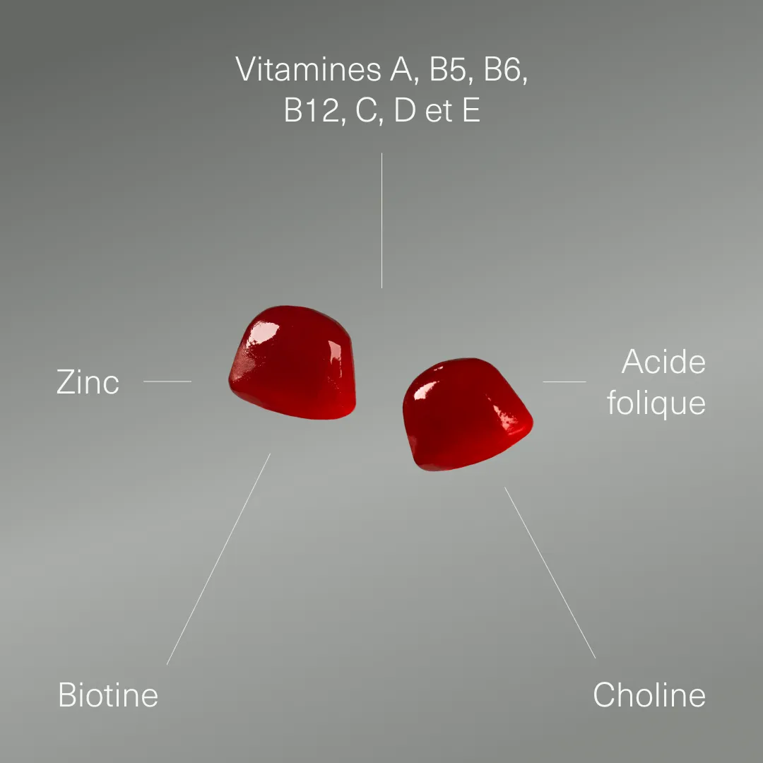 Actifs et formule de Multivitamines en gummies Aldous