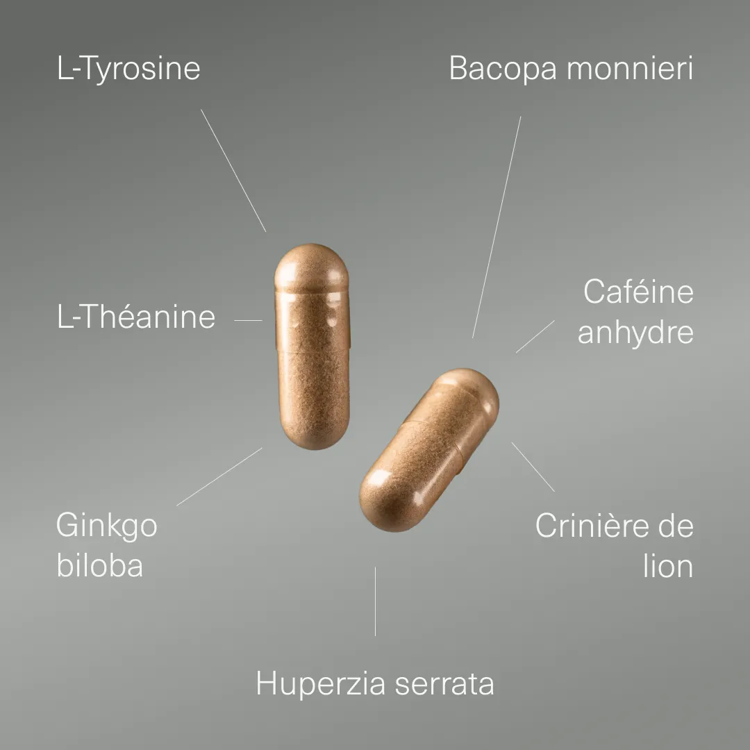 Actifs et formule de Nootropique Ginkgo Biloba Aldous