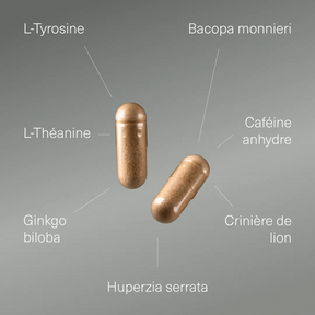 Actifs et formule de Nootropique Ginkgo Biloba Aldous