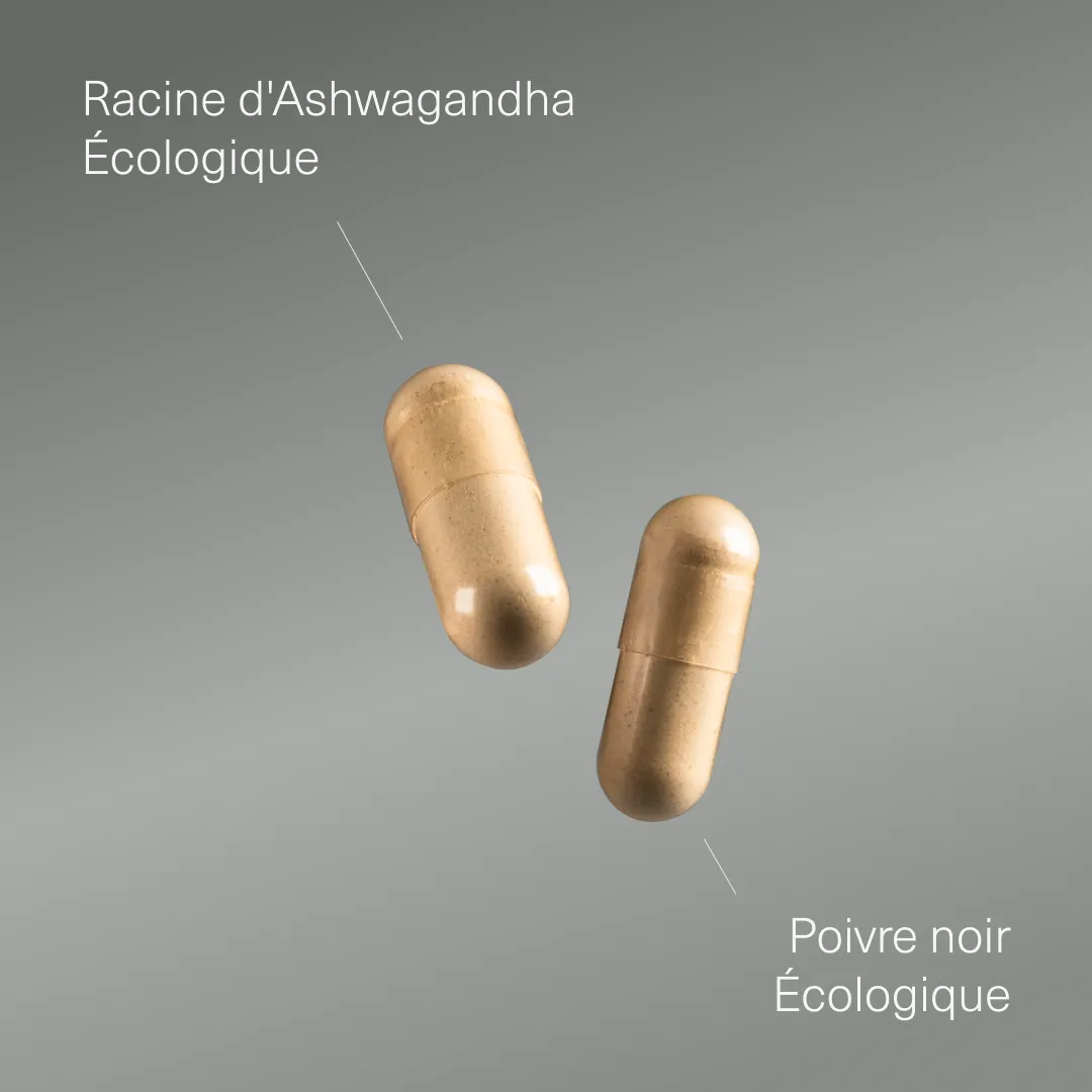 Actifs et formule de Ashwagandha avec poivre noir bio Aldous