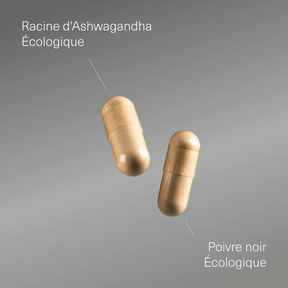 Actifs et formule de Ashwagandha avec poivre noir bio Aldous