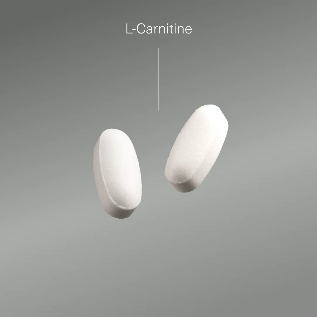 Actifs et formule de L-Carnitine Aldous