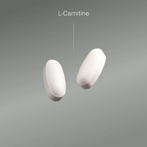 Actifs et formule de L-Carnitine Aldous