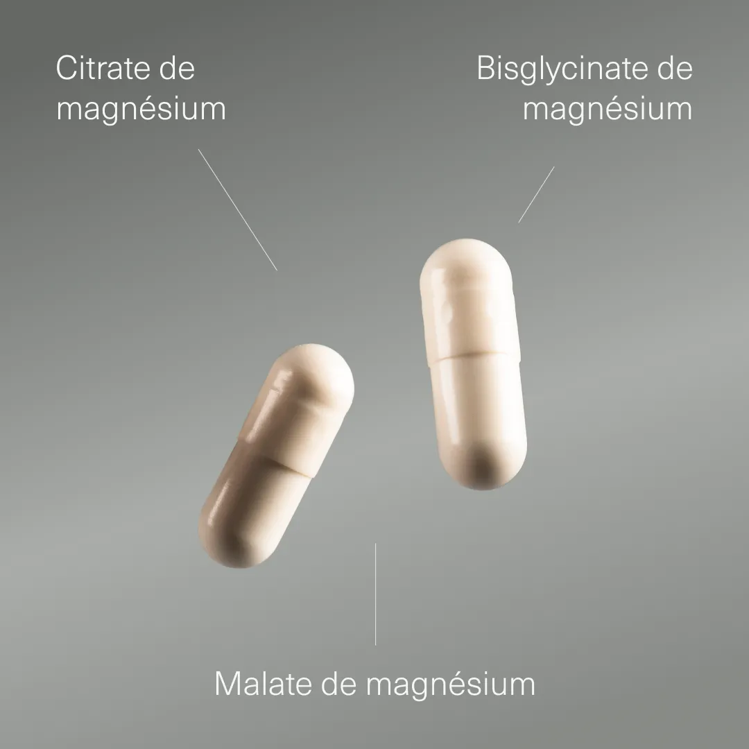 Actifs et formule de Magnésium Complexe Aldous
