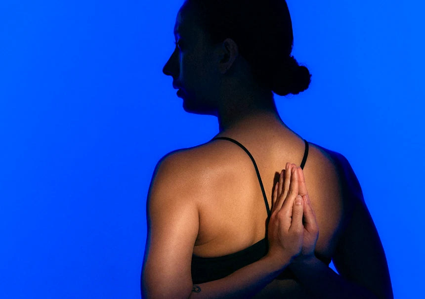 <h2>Idéal pour :</h2>