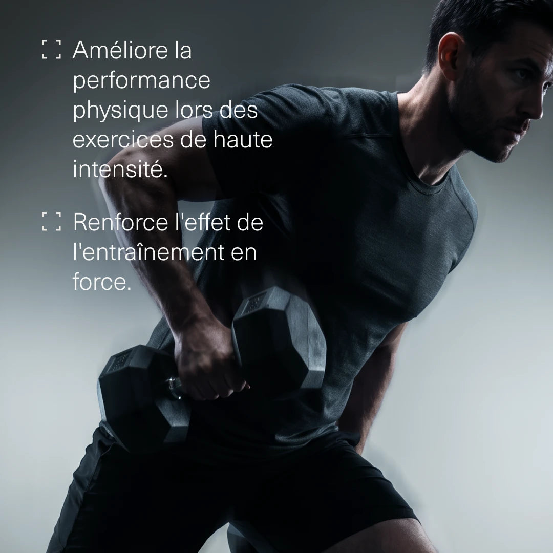 Créatine Monohydrate 200 Mesh en Poudre
