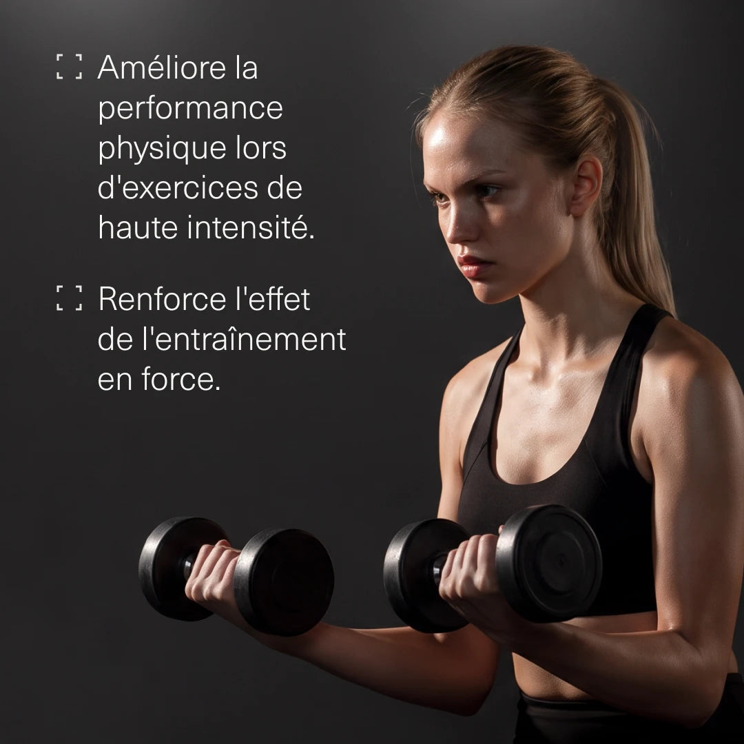 Créatine Monohydrate 500 Mesh en Poudre
