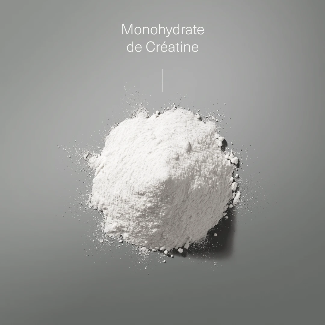 Créatine Monohydrate 200 Mesh en Poudre