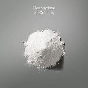 Créatine Monohydrate 200 Mesh en Poudre