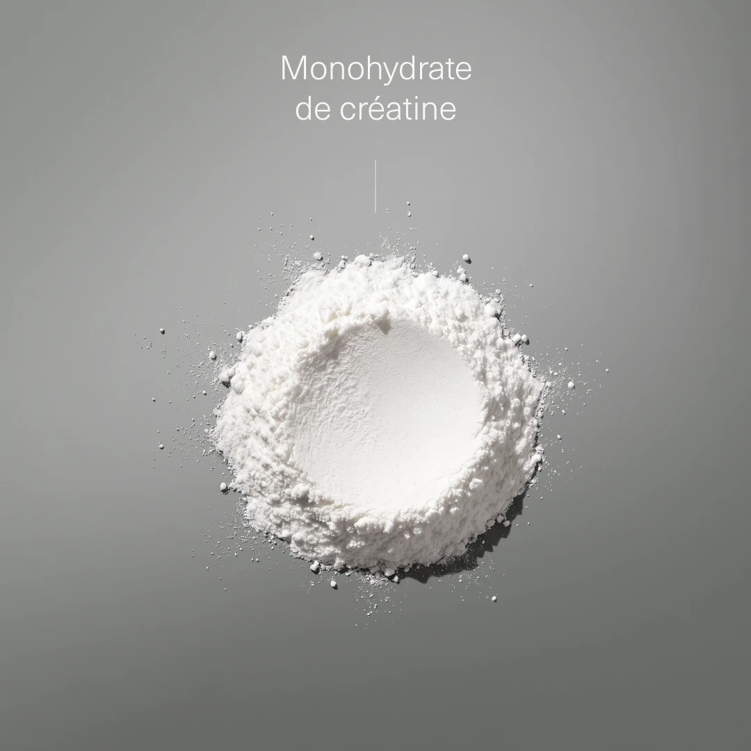 Créatine Monohydrate 500 Mesh en Poudre