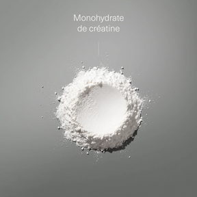 Créatine Monohydrate 500 Mesh en Poudre