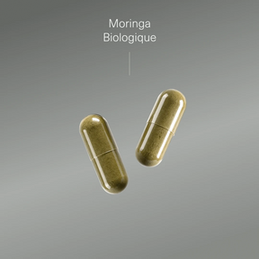 Pack Défenses