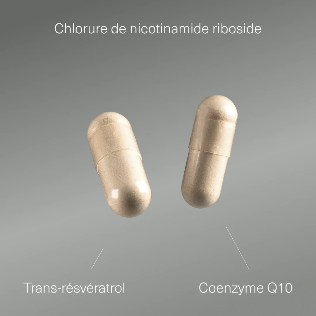 NAD+ avec Resvératrol