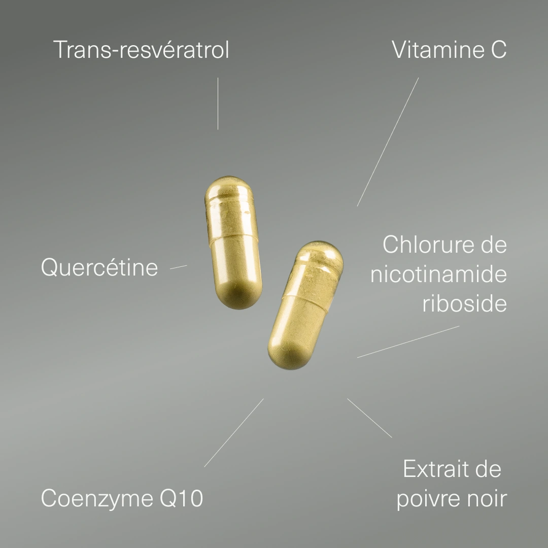Resvératrol avec Vitamine C