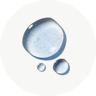 Acide folique