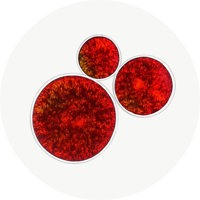 Astaxanthine