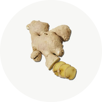Gingembre