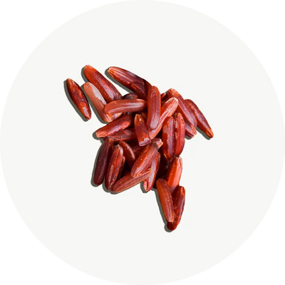 Levure de Riz Rouge