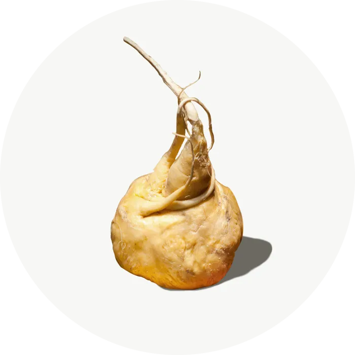Maca du Pérou Bio Hautement