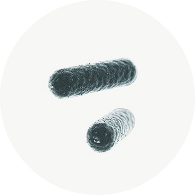 Probiotiques
